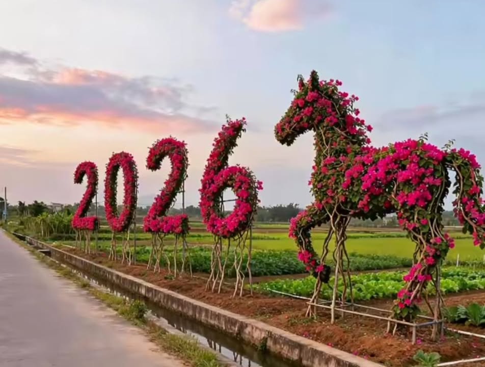 Đất nền 2 mặt tiền đường Bê tông 6000m² - Cơ hội đầu tư tuyệt vời tại Cẩm Thanh!