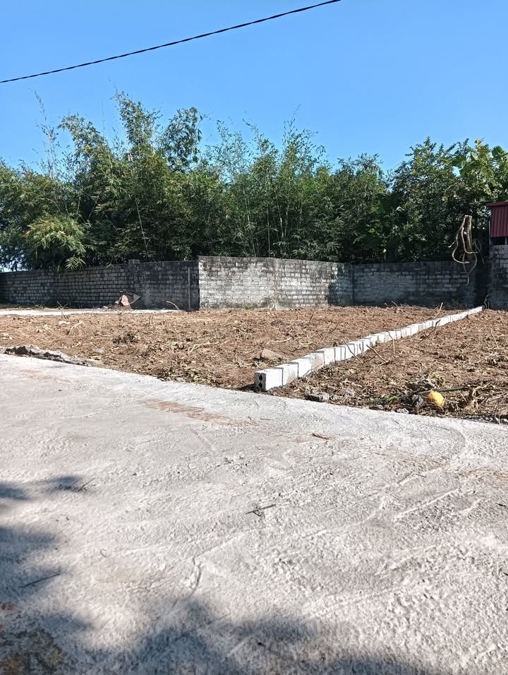 Đất nền Ngọc Châu Tân Yên 123m² giá 500 triệu - Cơ hội đầu tư hấp dẫn!