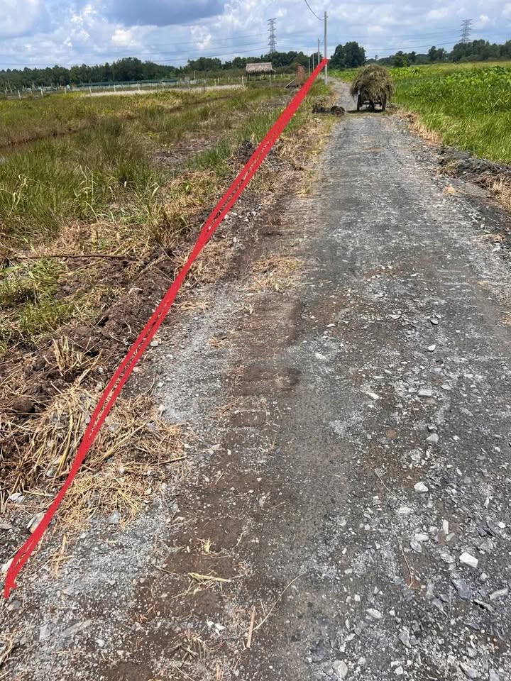 Đất nền 17.000m² đường Đặng Thị Sữa, Củ Chi - Đầu tư sinh lời ngay!