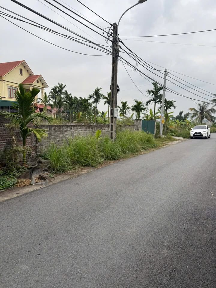 Đất nền Phú Thanh Đông, Uông Bí 278m² giá 2.1 tỷ - Đầu tư sinh lời ngay!