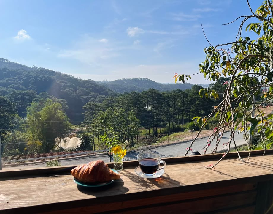 Homestay gỗ tại Thôn Măng Line, Đà Lạt 6 triệu - View rừng thông thơ mộng!