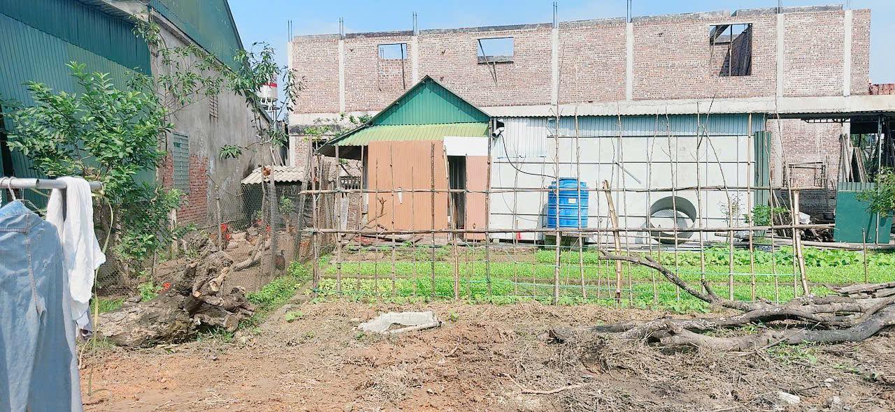 Đất thổ cư Tân Lâm Hương, Thạch Hà 130m² giá chỉ 2 tỷ - Đầu tư sinh lời ngay!