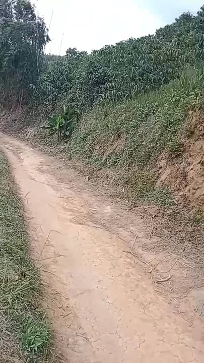 Đất nông nghiệp 5 sào tại Nâm N'Đir, Đắk Nông - Giá chỉ 600 triệu