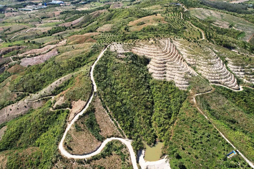 Farm Đắk Ruồng Kon Rẫy 40ha - Khu vực tiềm năng, giá thỏa thuận!