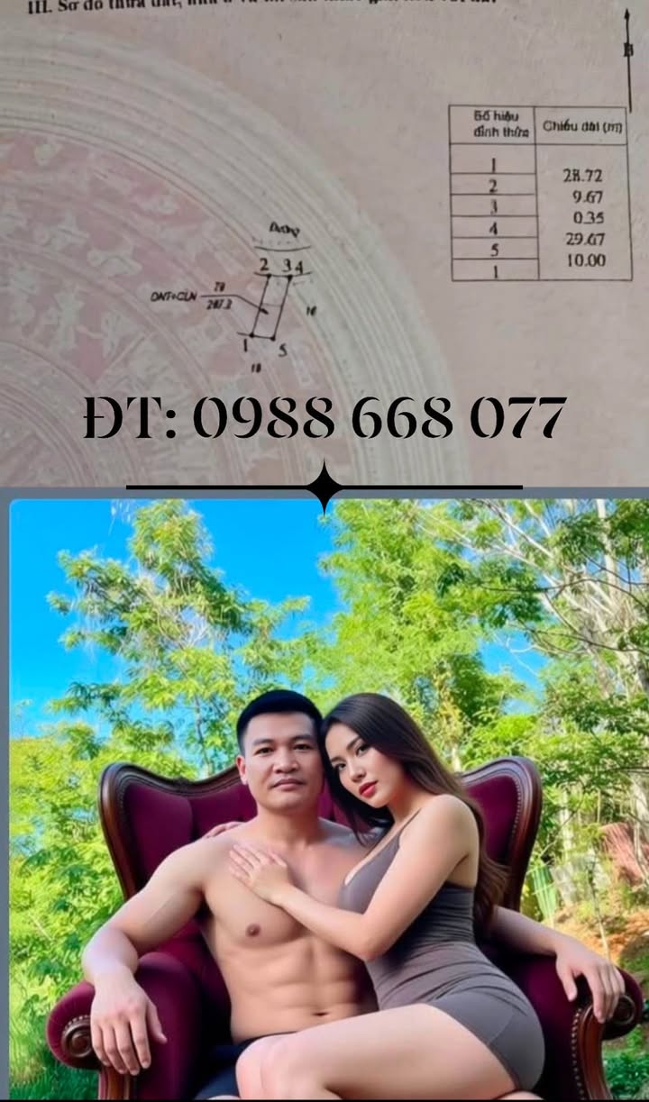 Đất ở Thôn Nam Sơn, xã Nam Đà, 290m² giá 1.088 tỷ - Cơ hội đầu tư hấp dẫn!