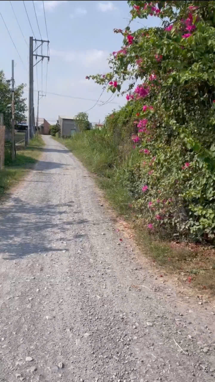 Bán đất xã Tân Mỹ, Đức Hòa 385m² giá 1,9 tỷ - Đường đá xanh 5m, vị trí tiềm năng!