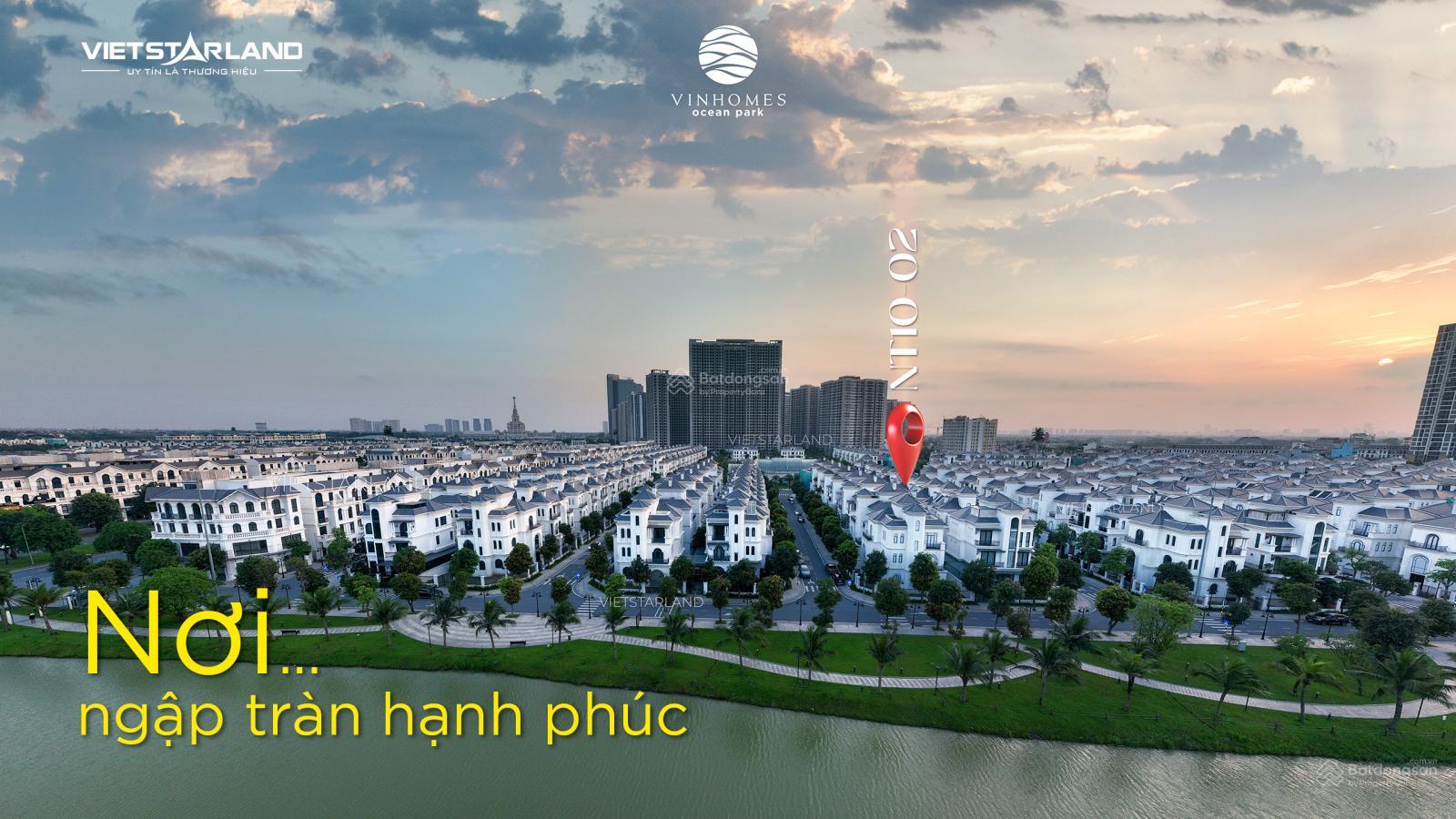 Bán siêu biệt thự VIP NT10-02 Vinhomes Ocean Park, 295.8m² - Đẳng cấp thượng lưu ven sông!