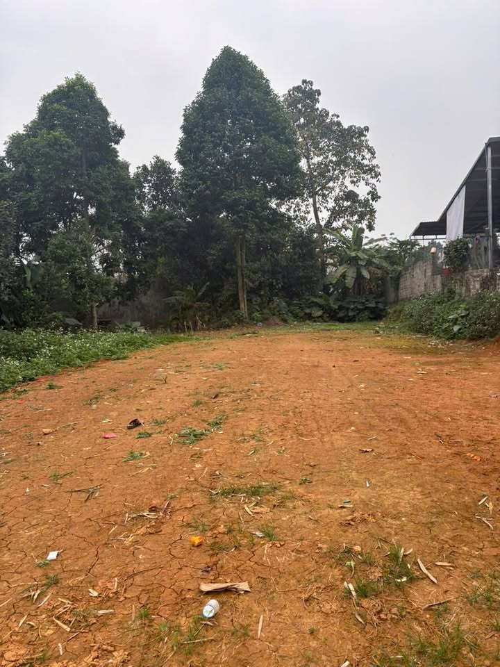 Đất nghỉ dưỡng Vân Hòa, Ba Vì 526m² - Sổ đỏ chính chủ, giá thỏa thuận!