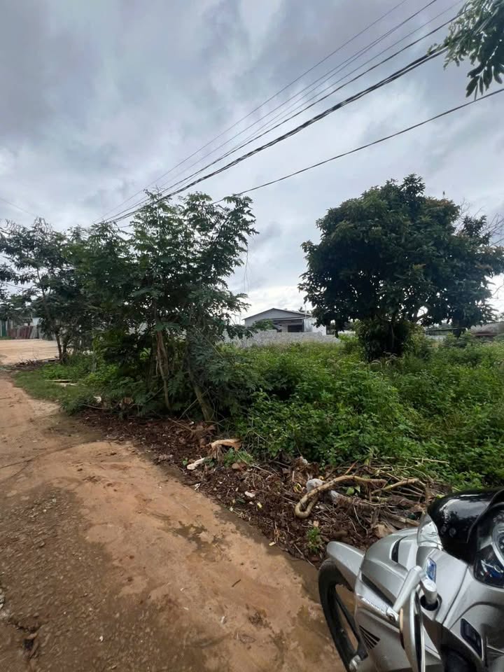 Đất nền mặt tiền đường B3, Cư Êbur, Buôn Ma Thuột 500m² chỉ 2.65 tỷ - Cơ hội đầu tư tuyệt vời!