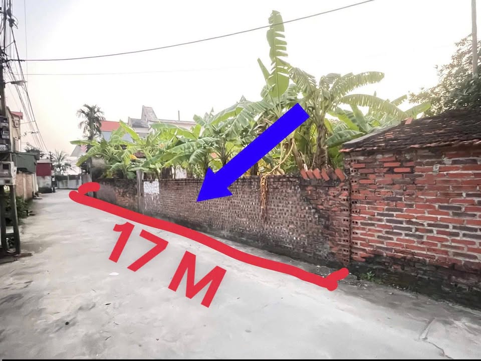 Đất Làng Bùi Thượng, Xã Yết Kiêu, 161m² - Cơ hội đầu tư tuyệt vời!