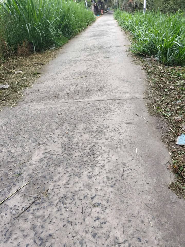 Đất nền phường Phú Khương, Bến Tre 1000m² giá 950 triệu - Cơ hội đầu tư tuyệt vời!