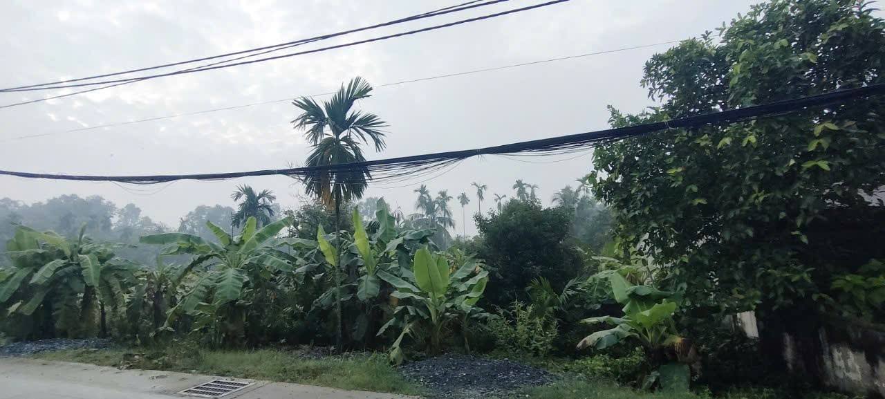 Đất mặt tiền Tỉnh Lộ 9, Củ Chi 2059m² giá 17.5 tỷ - Cơ hội đầu tư tuyệt vời!