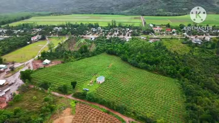 Farm 1.4ha tại Làng Blên, xã Lơ Pang, huyện Mang Yang, Gia Lai - Sổ đỏ chính chủ, giá chỉ 2 tỷ!