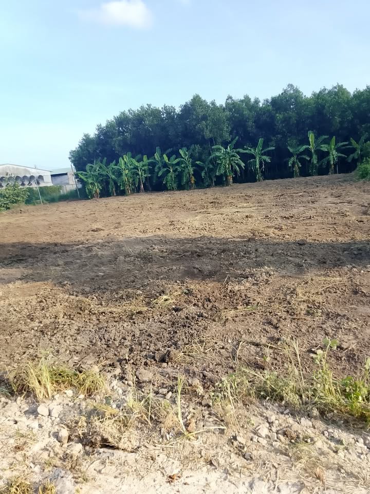 Đất Hòa Hội, Xuyên Mộc 1440m² giá 500 triệu - View suối tuyệt đẹp!