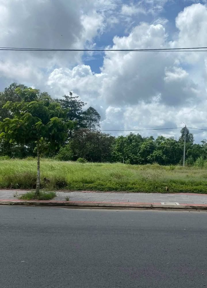 Đất nền Vạn Phát Sông Hậu 80m² giá 800 triệu - Tiềm năng kinh doanh cao!