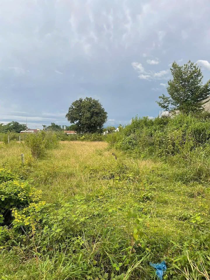 Đất thổ cư Hẻm 196 Thu Bồn, Đăk Cấm, 215m² chỉ 650 triệu - Đầu tư sinh lời ngay!