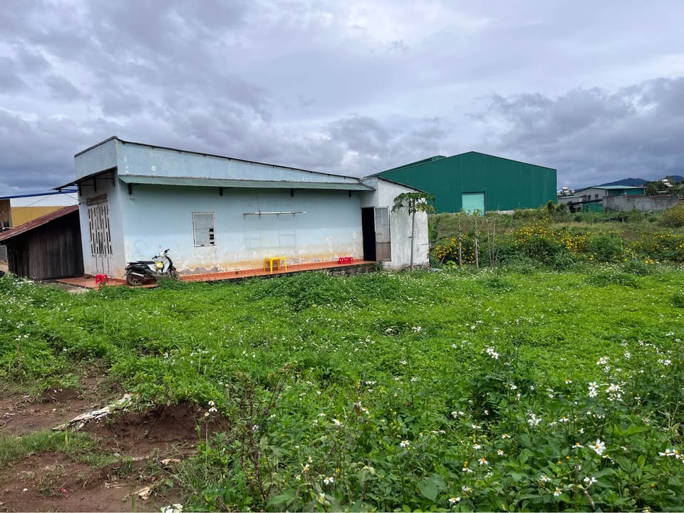 Đất nền Đức Trọng 245m² giá 1.15 tỷ - Đầu tư sinh lời ngay!