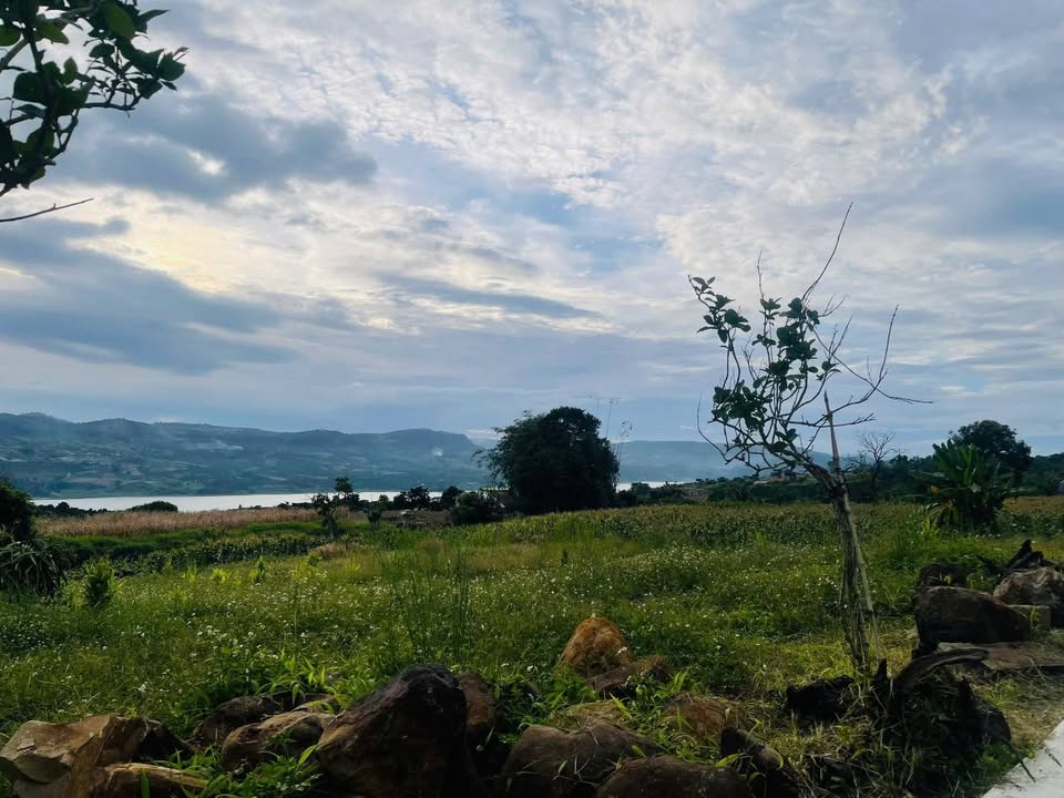 Đất nền Tân Hà Lâm Đồng 1000m² giá chỉ 1 triệu/m² - View sông tuyệt đẹp!