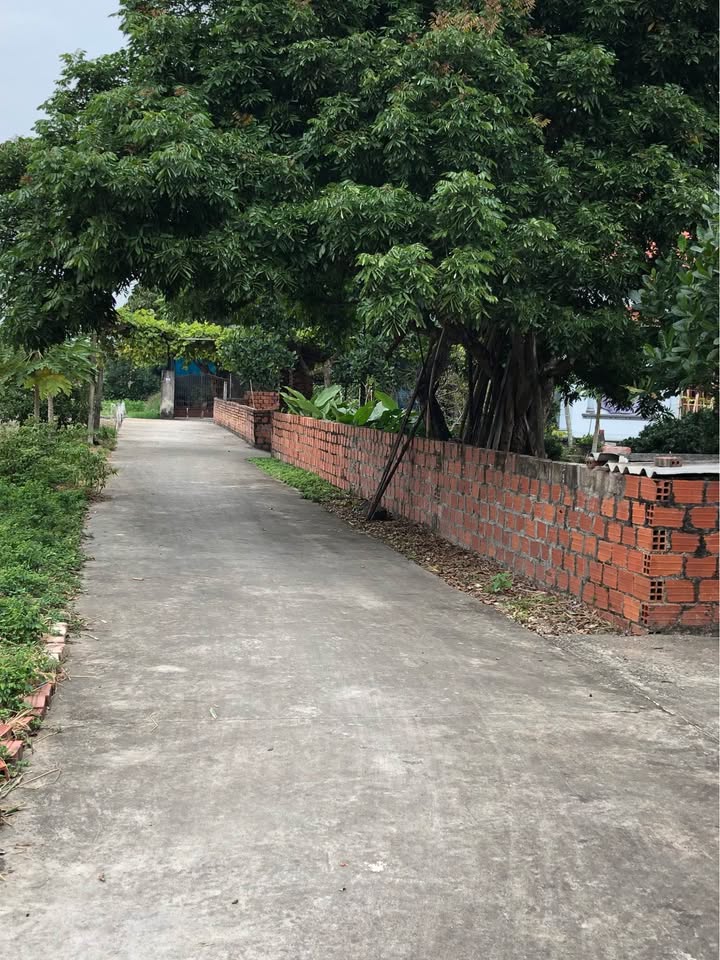 Đất nền 488m² tại Xuân Sơn, Đông Triều - Giá chỉ 1.026 tỷ, cơ hội vàng đầu tư!