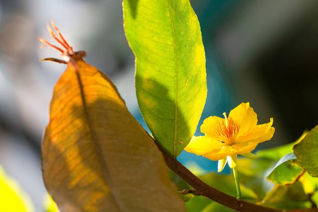 Nhà bán hẻm 22 Mạc Đĩnh Chi, Ninh Kiều 60.7m² giá 4 tỷ - Sẵn sàng vào ở!