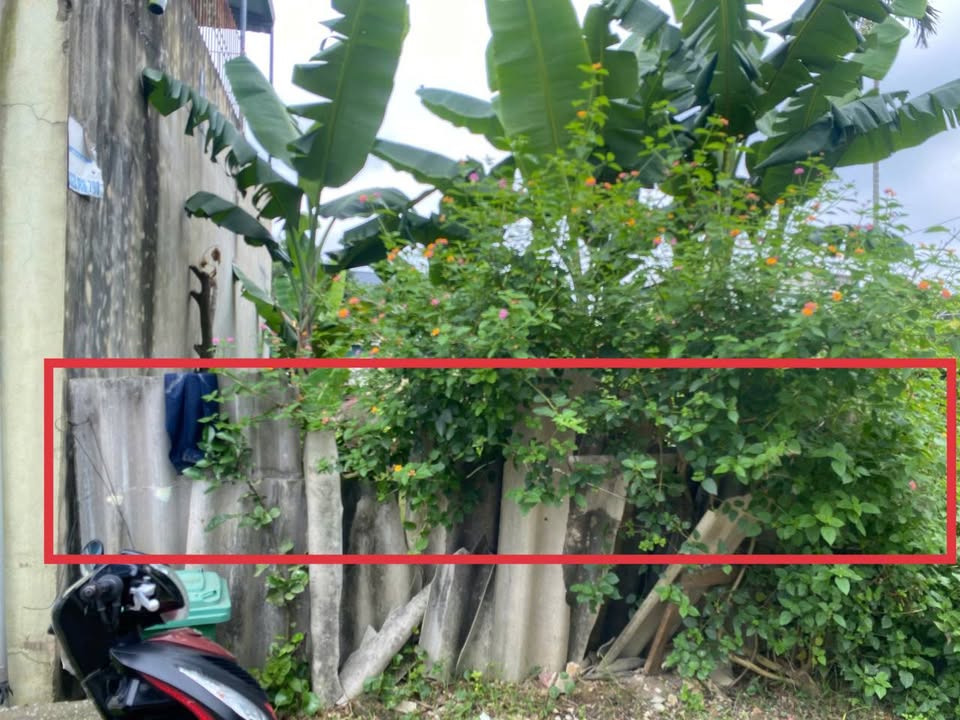 Đất nền phố 3, Phường Quảng Hưng, Thanh Hóa 100m² - Giá chỉ 1 tỷ - Chính chủ bán gấp!