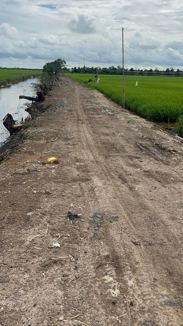 Đất ruộng 45 công tại xã Tân Công Sính, huyện Tam Nông - Giá chỉ 4.725 tỷ