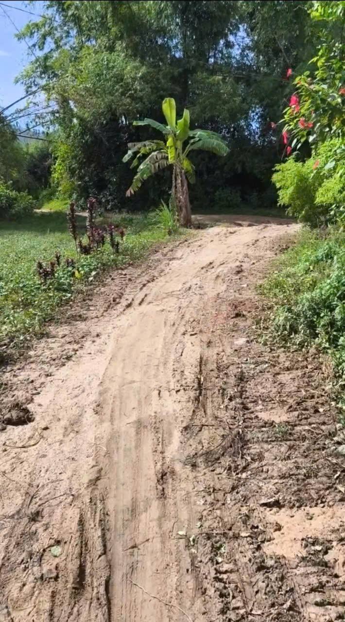 Đất nền 500m² xã Phù Mỹ Nam, Bình Định - Tiềm năng nghỉ dưỡng lý tưởng!