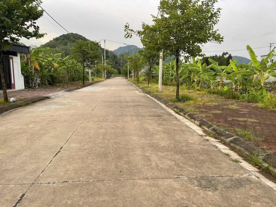 Đất thổ cư Tổ 9 Tân Bình 150m² giá chỉ 1.0xx - Cơ hội đầu tư tuyệt vời!