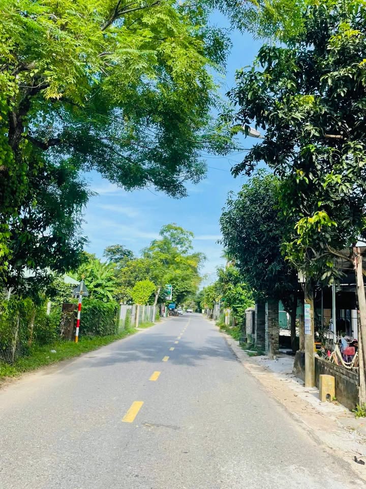 Đất nền mặt tiền Quốc lộ 14G, Đà Nẵng, 220m² - Kinh doanh đắc địa!