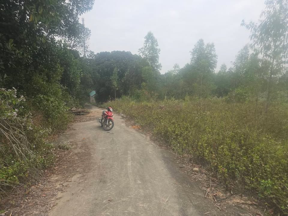 Đất nền Phù Lãng Quế Võ 173m² giá chỉ 700 triệu - Cơ hội đầu tư vàng!