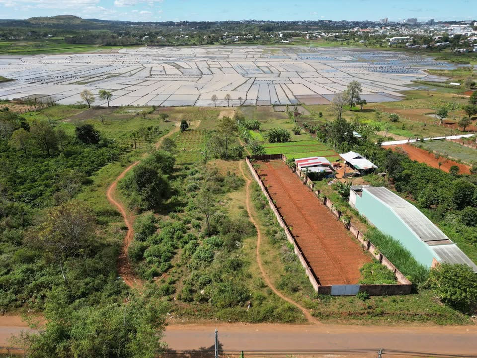 Đất mặt tiền Trương Định Pleiku 650m² giá 1.9 tỷ - View cánh đồng xanh mát!