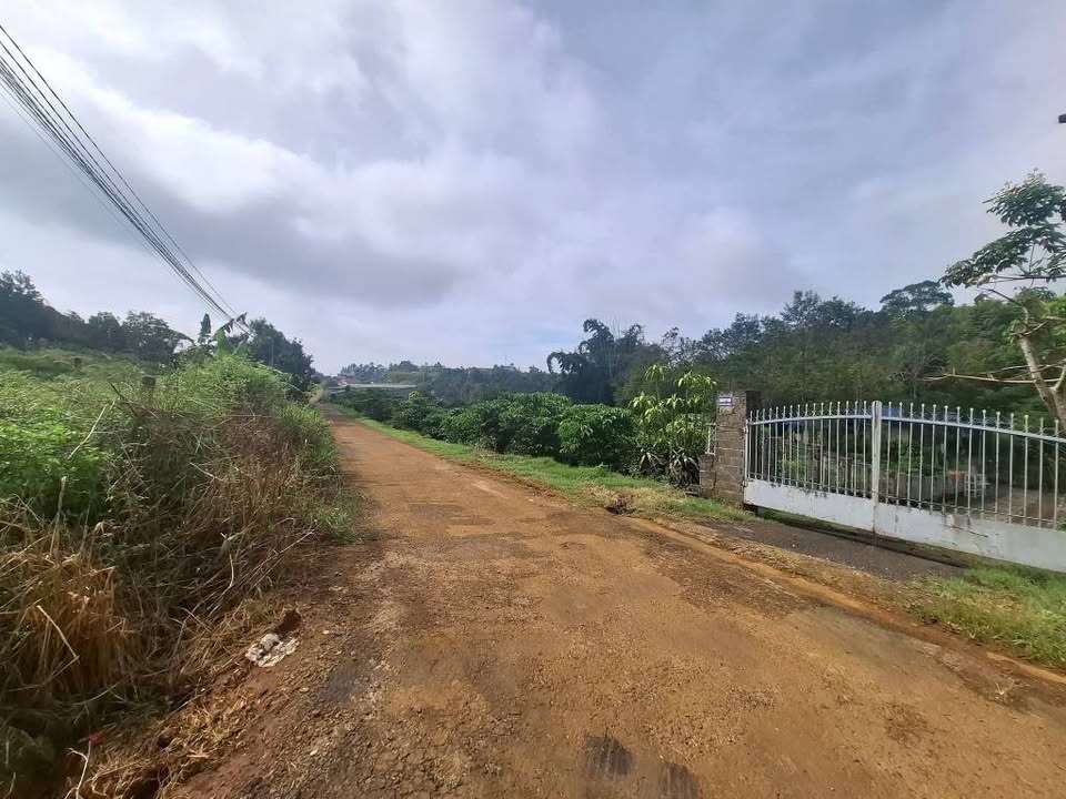 Đất 138m² Hẻm 360 Phan Đình Phùng, Bảo Lộc - Giá chỉ 1.25 tỷ, Thổ cư 80m²