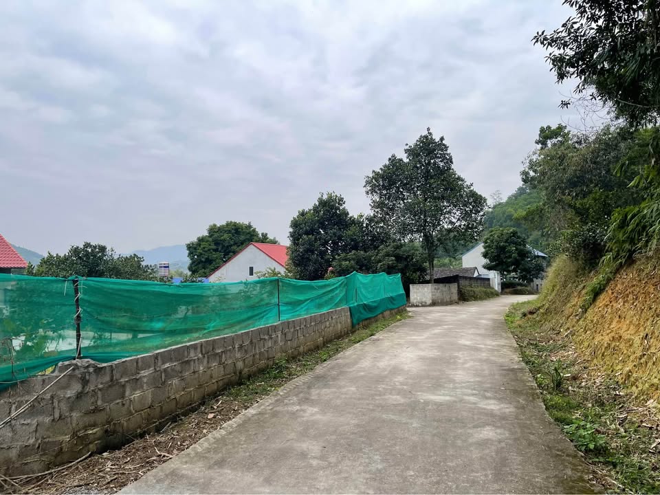 Đất nền Văn Yên, Đại Từ 235m² giá chỉ từ 100 triệu - Đầu tư sinh lời hiệu quả!