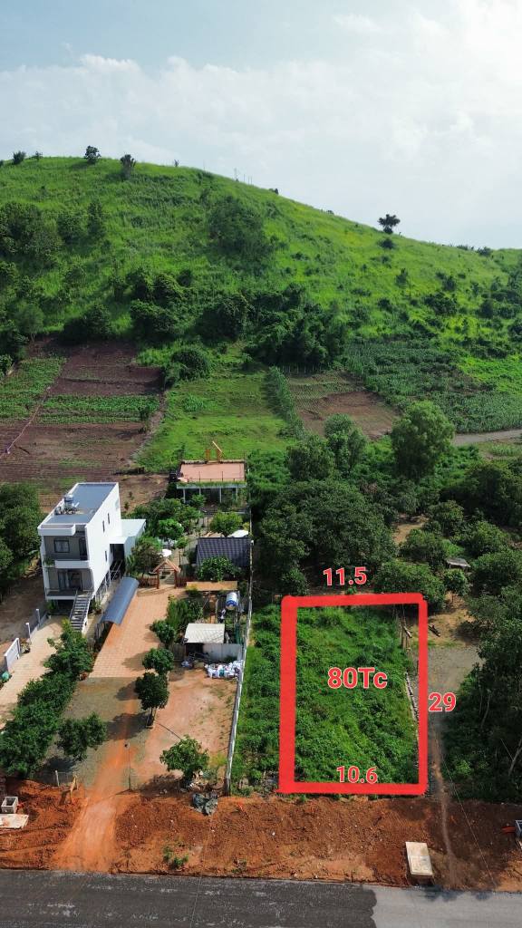 Đất nền Xuyên Mộc Bà Rịa - Vũng Tàu 318m² - Lưng tựa núi, view chân đồi đẹp