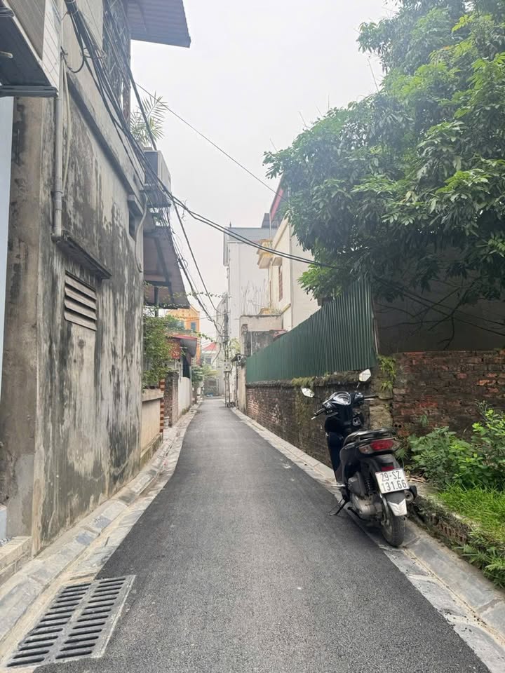 Đất nền Mai Lâm, Đông Anh 40.5m² - Vị trí đắc địa, sổ đỏ chính chủ!