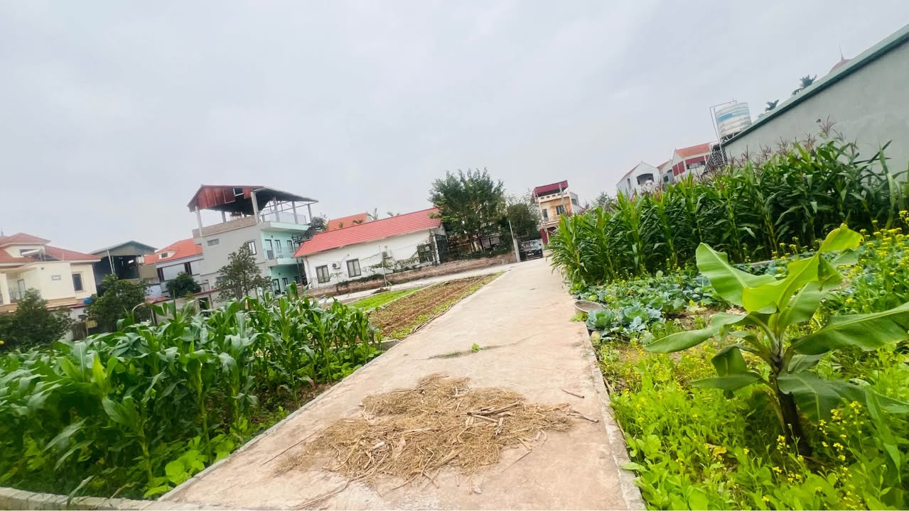 Đất nền Lệ Chi, Gia Lâm 46m² giá 2.5 tỷ - Chính chủ bán gấp!