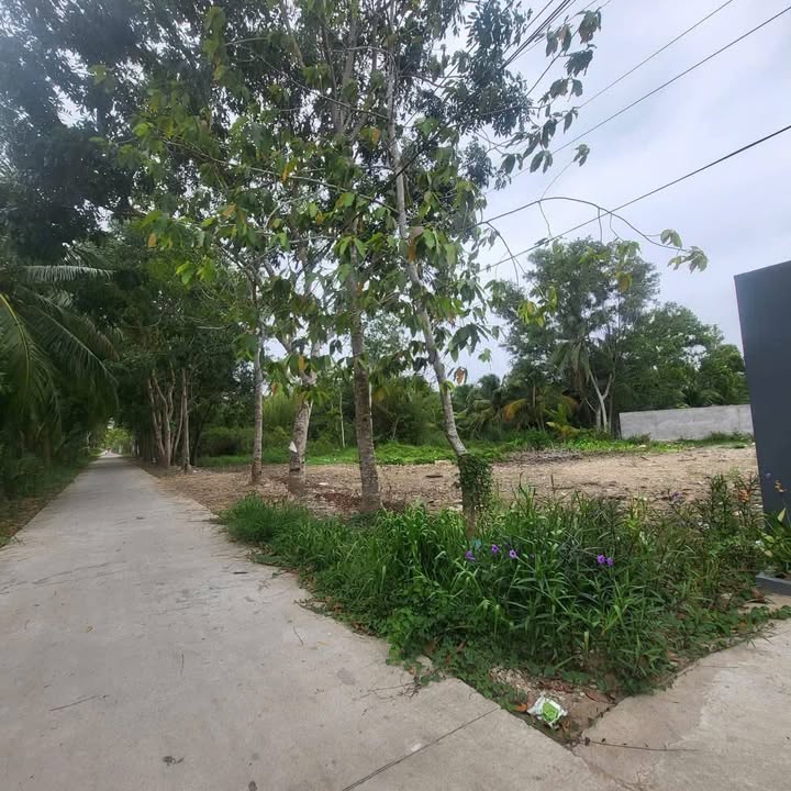 Đất nền mặt tiền đường Kênh 19/5, Sóc Trăng 560m² - Giá đầu tư cực tốt!