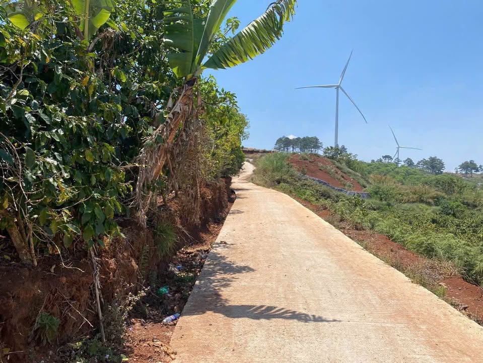 Đất nông nghiệp 2028m² tại Trạm Hành, Đà Lạt giá 4.2 tỷ - Cơ hội đầu tư hấp dẫn!