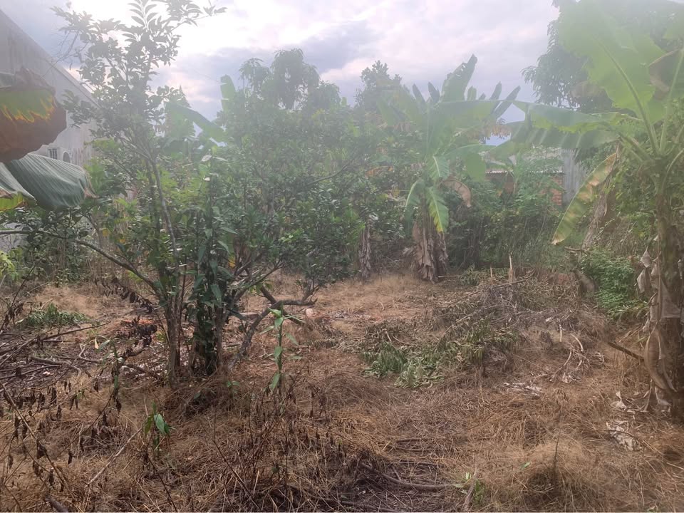 Đất nền Tiến Hưng Đồng Xoài 250m² giá chỉ 1.35 tỷ - Đầu tư sinh lời ngay!