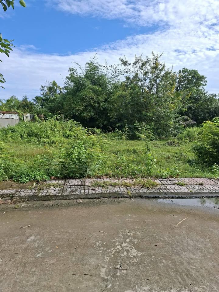 Đất thổ cư tại phường Tân Ngãi, Vĩnh Long 127.5m² giá 780 triệu - Đầu tư sinh lời ngay!