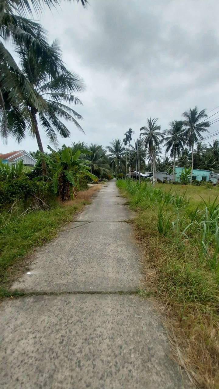 Đất vườn dừa Càng Long 3870m² giá 2.5 tỷ - Vị trí đẹp, thích hợp nghỉ dưỡng!