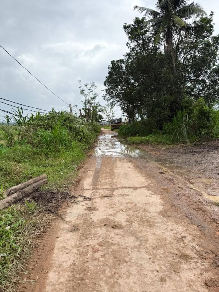 Đất nền Cát Hanh Phù Cát 180m² giá thỏa thuận - Khung cảnh thơ mộng như Đà Lạt!