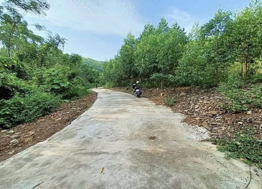 Đất nền Đồng Tiến, Yên Thế 329m² giá thỏa thuận - Mặt tiền 6m bám đường bê tông