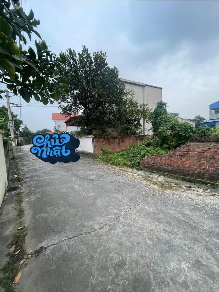 Đất ở Cổ Bì, Bình Giang 107m² giá 1.2 tỷ - Đường thông thoáng, tiện ích đầy đủ!