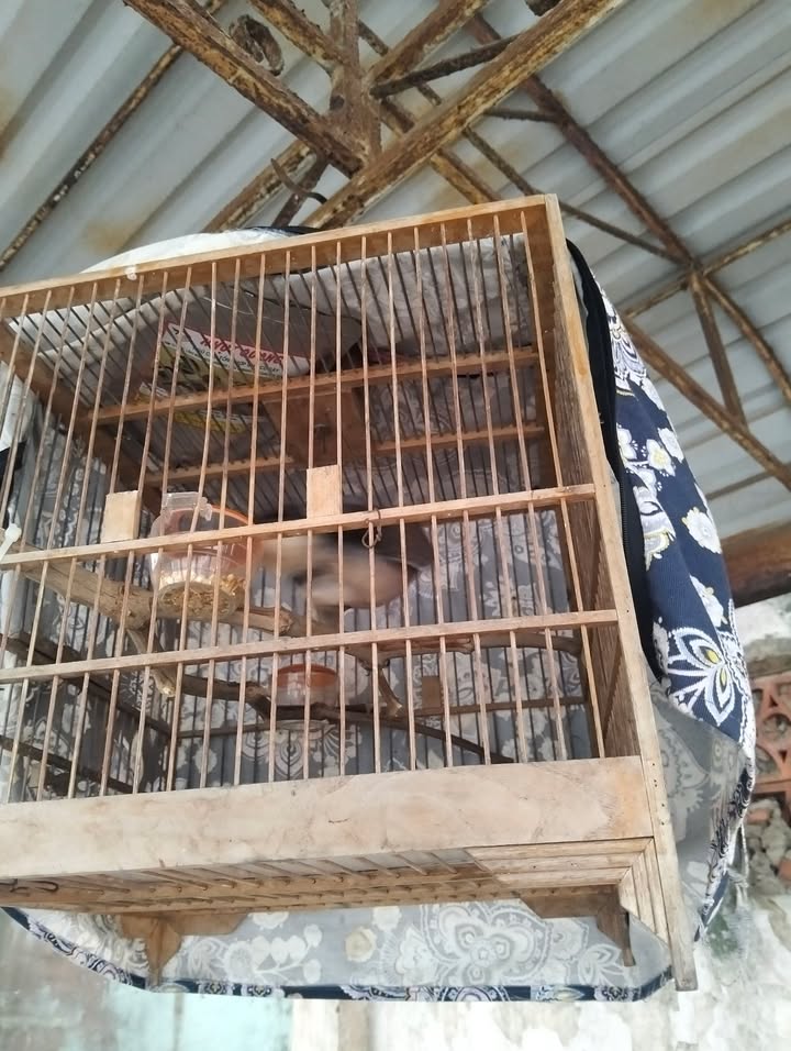 Đất nền Phú Đông Nhơn Trạch 500m² giá 920 triệu - Đầu tư lý tưởng cho nghỉ dưỡng!