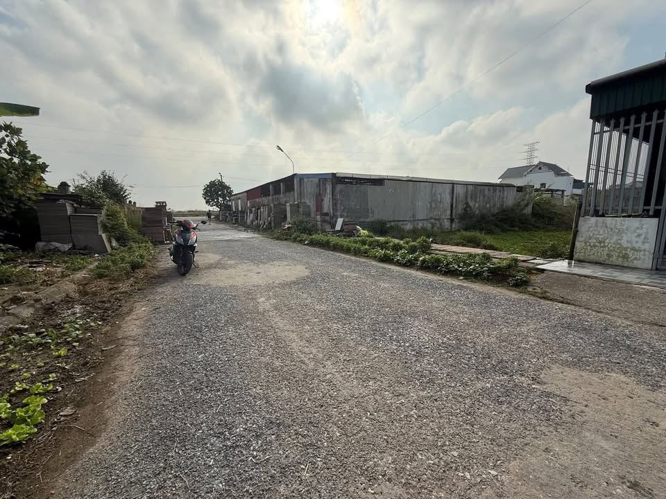 Đất nền Tây Lương Tiền Hải 100m² giá chỉ 1.1 tỷ - Đầu tư sinh lời ngay!