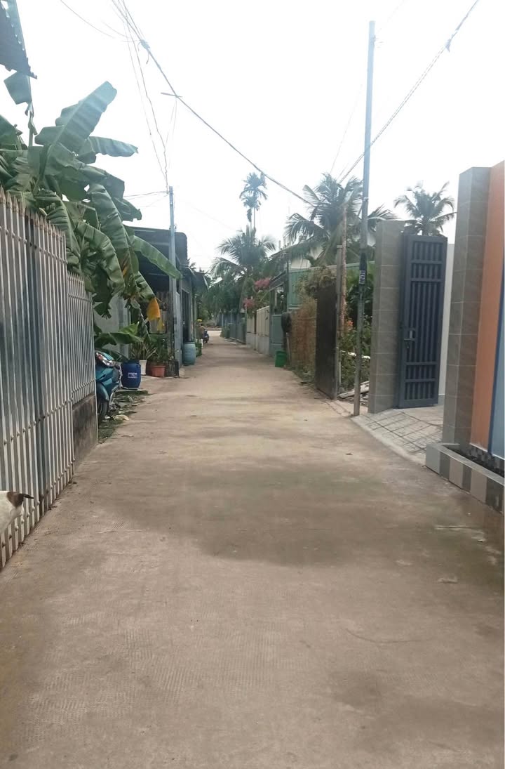 Nhà cấp 4 An Thạnh, Thuận An 110,4m² giá 2,4 tỷ - Bán gấp!