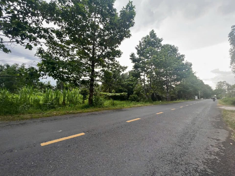 Đất vườn dừa Hữu Định, Châu Thành Bến Tre 6600m² giá 2.376 tỷ - Đường ô tô vào tận nơi!