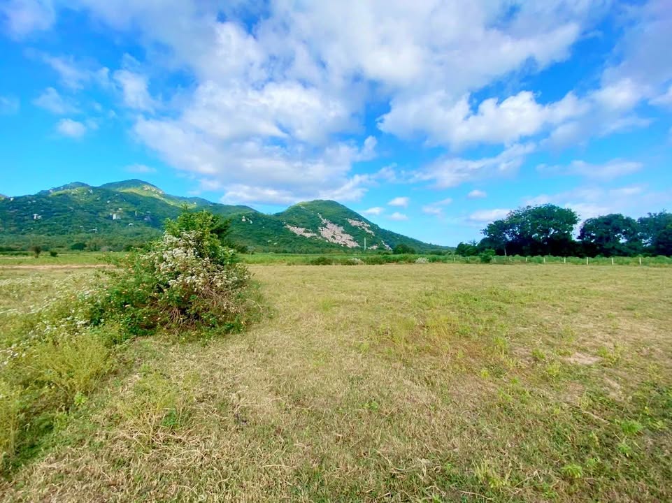 Đất nền Cam Phúc Nam Cam Ranh 3600m² chỉ 200 triệu - Cơ hội đầu tư hiếm có!