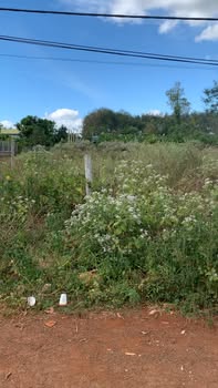 Đất nền Xúc Cơm, Đức Cơ 540m² giá 850 triệu - Sổ hồng chính chủ, mặt tiền đường thông thoáng!